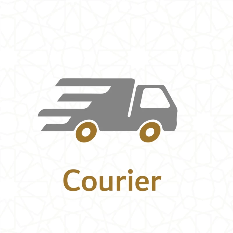 insurina Courier Services